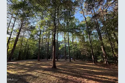 213 Long Needle Drive, Clayton, NC 27520 - Photo 2