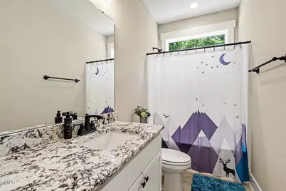 173 Clearstream Way, Angier, NC 27501 - Photo 12
