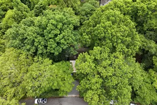 16 Davie Cir, Chapel Hill, NC 27514 - Photo 44
