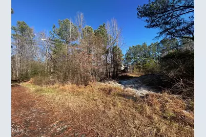 Lot 16 Dove Road, Oxford, NC 27565 - Photo 2