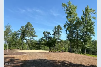 158 Retreat Drive, Fuquay Varina, NC 27526 - Photo 34