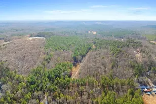 2787 Mt View Church Rd, Moncure, NC 27559 - Photo 10