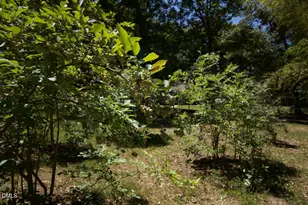946 Cooke Rd, Louisburg, NC 27549 - Photo 46