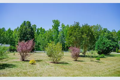 62 Red Berry Holly Lane, Hurdle Mills, NC 27541 - Photo 60
