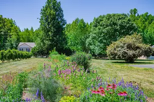 62 Red Berry Holly Ln, Hurdle Mills, NC 27541 - Photo 58