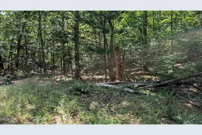 2069 Lot B Bowen Road, Rougemont, NC 27572 - Photo 4