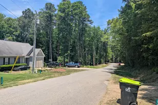 172 Nashua Dr, Louisburg, NC 27549 - Photo 28