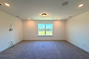 112 Kissington Wy, Benson, NC 27504 - Photo 44