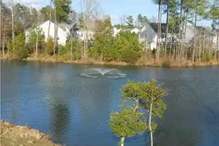 205 Shakespeare St, Morrisville, NC 27560 - Photo 58