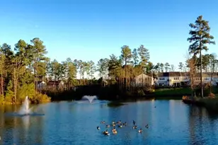 205 Shakespeare St, Morrisville, NC 27560 - Photo 64