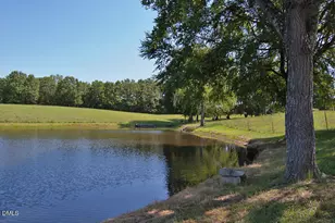 9166 Tilley Rd, Bullock, NC 27507 - Photo 12