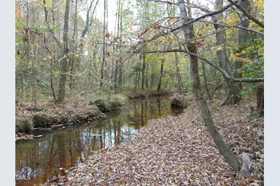 0 Big Woods Road, Macon, NC 27551 - Photo 20