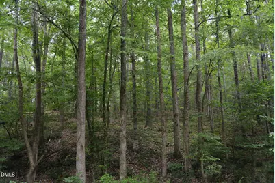 00 Tom Wright Road, Franklinton, NC 27525 - Photo 6