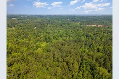 00 Tom Wright Road, Franklinton, NC 27525 - Photo 12