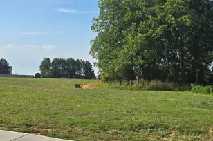 253 Fellowship Church Rd, Princeton, NC 27569 - Photo 22