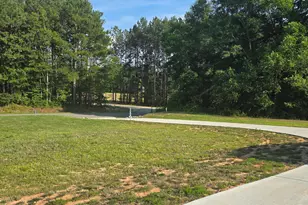 253 Fellowship Church Rd, Princeton, NC 27569 - Photo 28