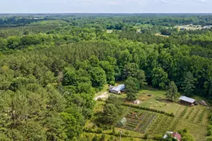 360 J B Leonard Rd, Castalia, NC 27816 - Photo 8