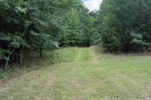 245 Brandon-Kelsey Dr, Siler City, NC 27344 - Photo 1