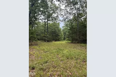 245 Brandon-Kelsey Drive, Siler City, NC 27344 - Photo 4