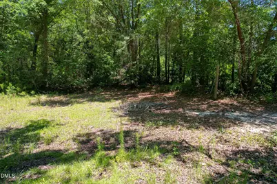 275 Hamer Street, Fair Bluff, NC 28439 - Photo 4