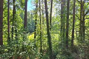 660 Pine Ridge Pl, Raleigh, NC 27609 - Photo 10