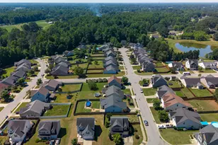 28 Arbor Loop, Angier, NC 27501 - Photo 44