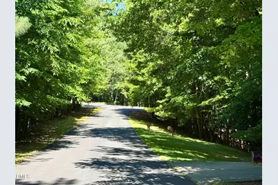 158 Danning Drive, Chapel Hill, NC 27516 - Photo 44