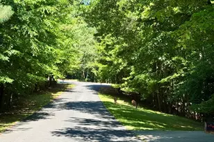 158 Danning Dr, Chapel Hill, NC 27516 - Photo 44