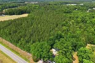2568 Nc Hwy 96 S, Franklinton, NC 27525 - Photo 52