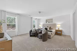 225 Rawhide Dr, Louisburg, NC 27549 - Photo 14