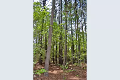 B G F Ball Road, Louisburg, NC 27549 - Photo 6