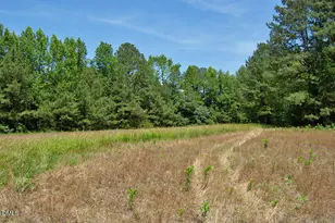 0 G F Ball Rd, Louisburg, NC 27549 - Photo 1