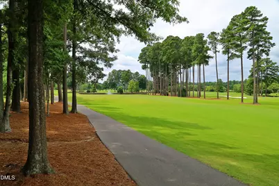 729 Crabtree Crossing Parkway, Cary, NC 27513 - Photo 52