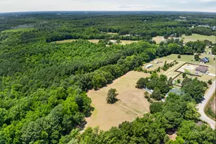 890 Wiggins Rd, Angier, NC 27501 - Photo 46