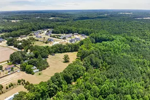 890 Wiggins Rd, Angier, NC 27501 - Photo 44
