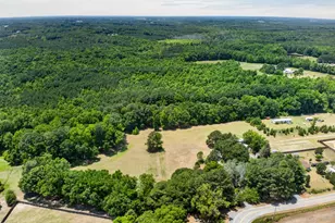 890 Wiggins Rd, Angier, NC 27501 - Photo 48