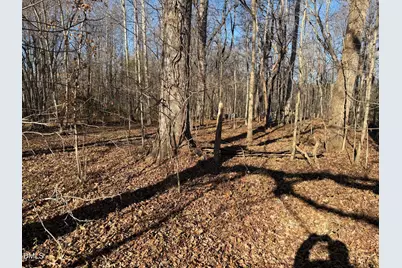 475 Lewis Winstead Lp Road, Roxboro, NC 27574 - Photo 4