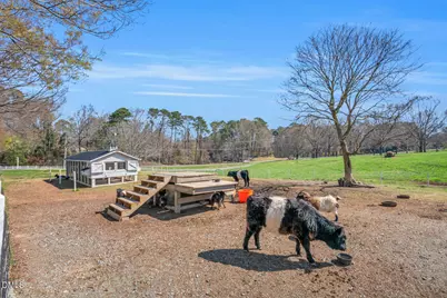 686 Spindlewood, Pittsboro, NC 27312 - Photo 36