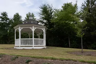 3440 Olive Glen Dr, Apex, NC 27502 - Photo 62