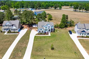 59 Two Belles Ct, Angier, NC 27501 - Photo 6
