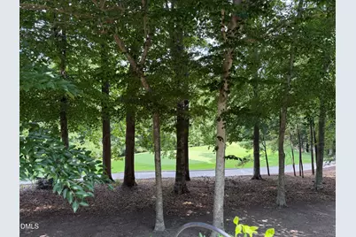 39523 Glenn Glade, Chapel Hill, NC 27517 - Photo 40