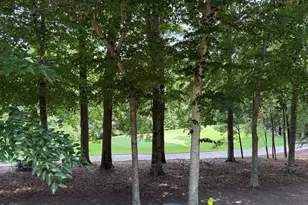 39523 Glenn Glade, Chapel Hill, NC 27517 - Photo 40