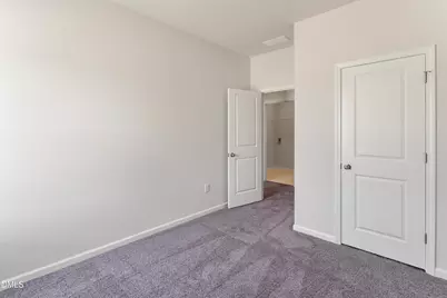 45 Fox Sedge Place, Lillington, NC 27546 - Photo 20
