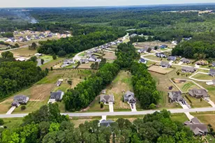 250 Carsons Creek Trail, Wendell, NC 27591 - Photo 52