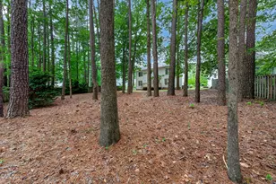 109 Chessington Ct, Cary, NC 27513 - Photo 40