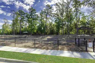 1127 Platform Dr, Apex, NC 27502 - Photo 36