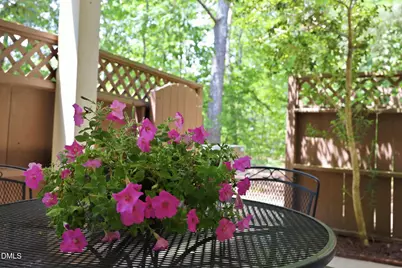 381 Summerwalk Circle, Chapel Hill, NC 27517 - Photo 6