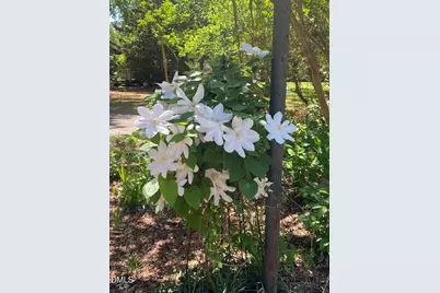 50 Glenmore Drive, Durham, NC 27707 - Photo 28