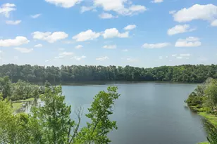 2441 Campus Shore Dr, Raleigh, NC 27606 - Photo 38