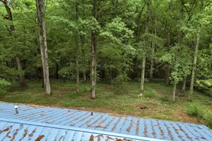 4419 Laurel Hills Rd, Raleigh, NC 27612 - Photo 38